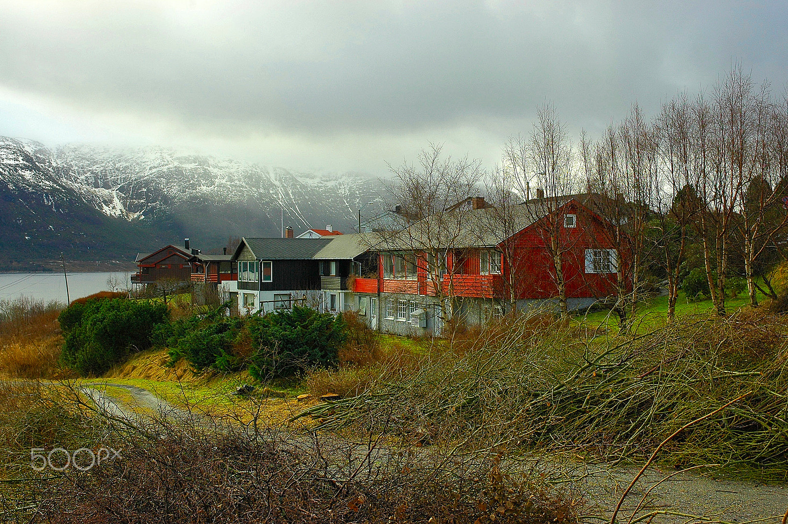 Nikon D70s sample photo. Alesund photography