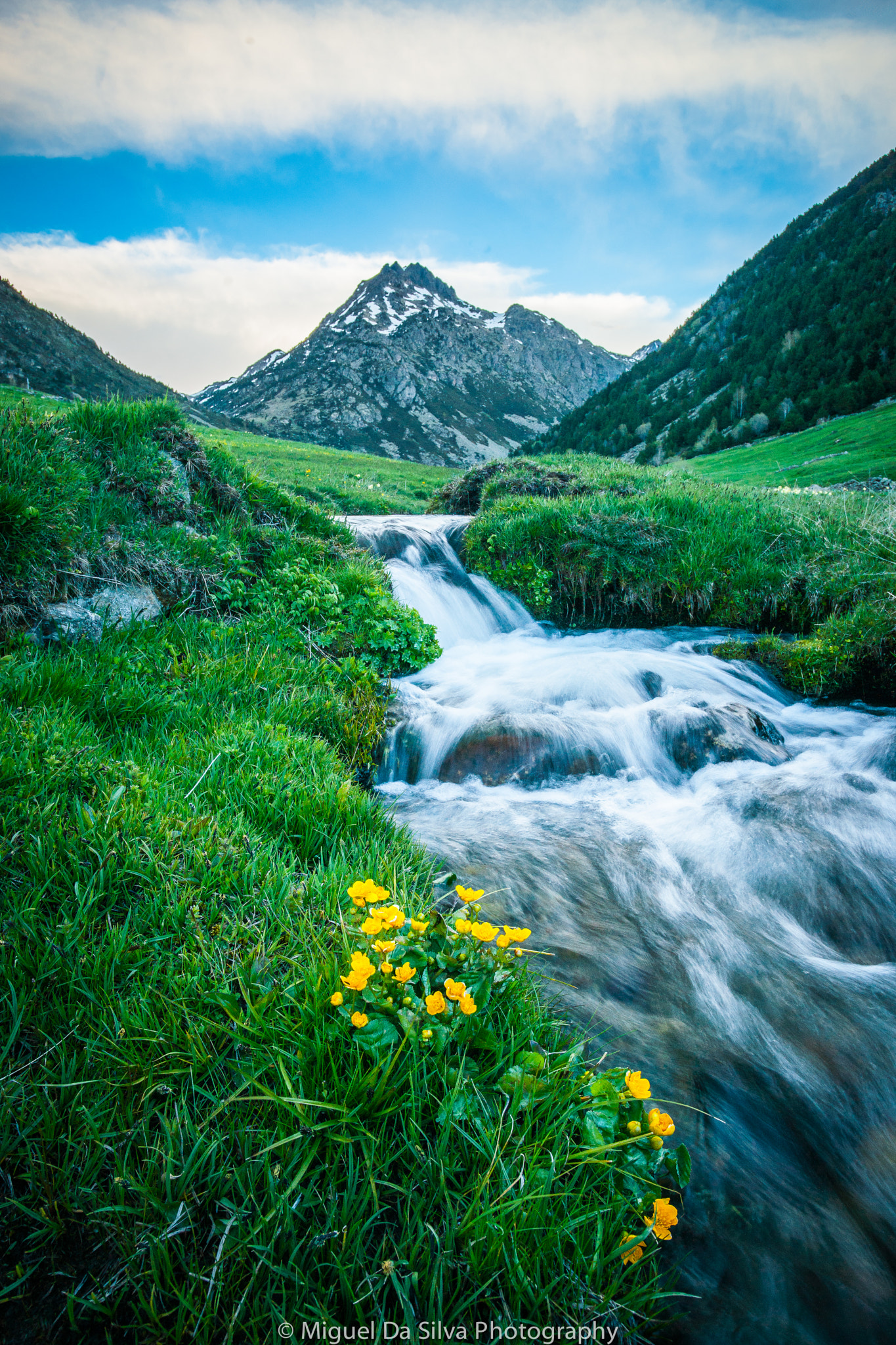 Sony Alpha DSLR-A900 sample photo. Vall d'inclés, canillo - andorra photography