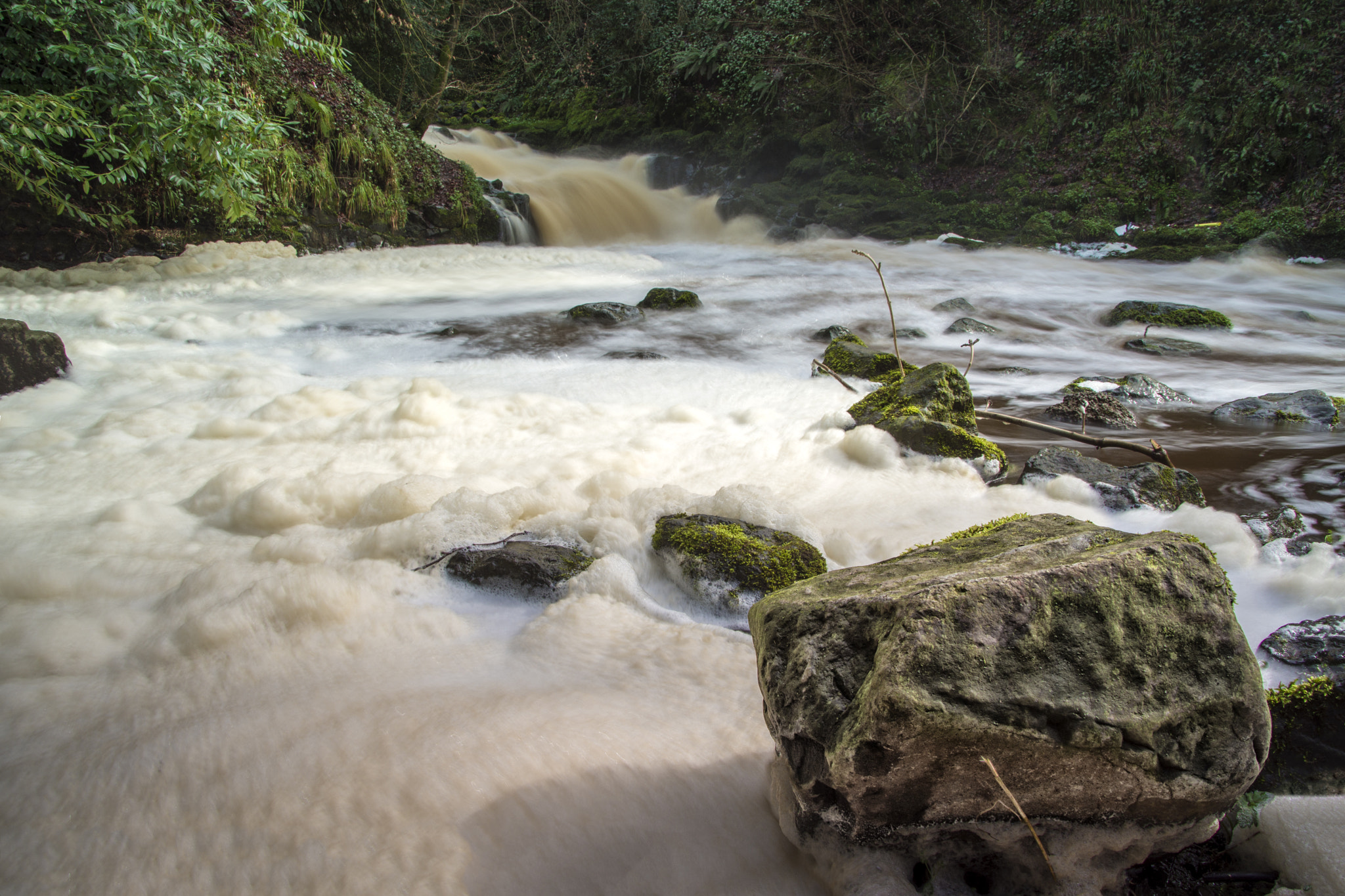 Nikon D7100 + Sigma 28-300mm F3.5-6.3 DG Macro sample photo. Crumlin river photography