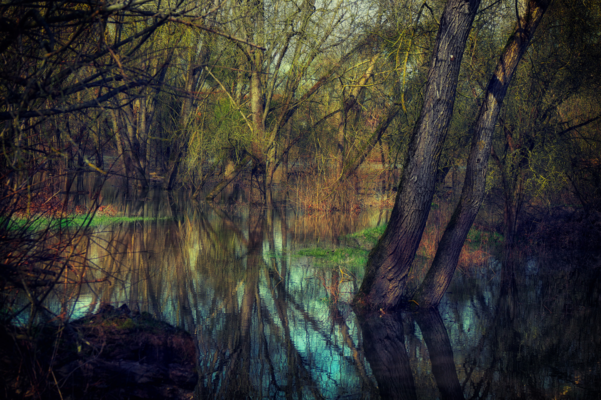 Samsung NX500 + NX 50-200mm F4-5.6 sample photo. Swamp color photography