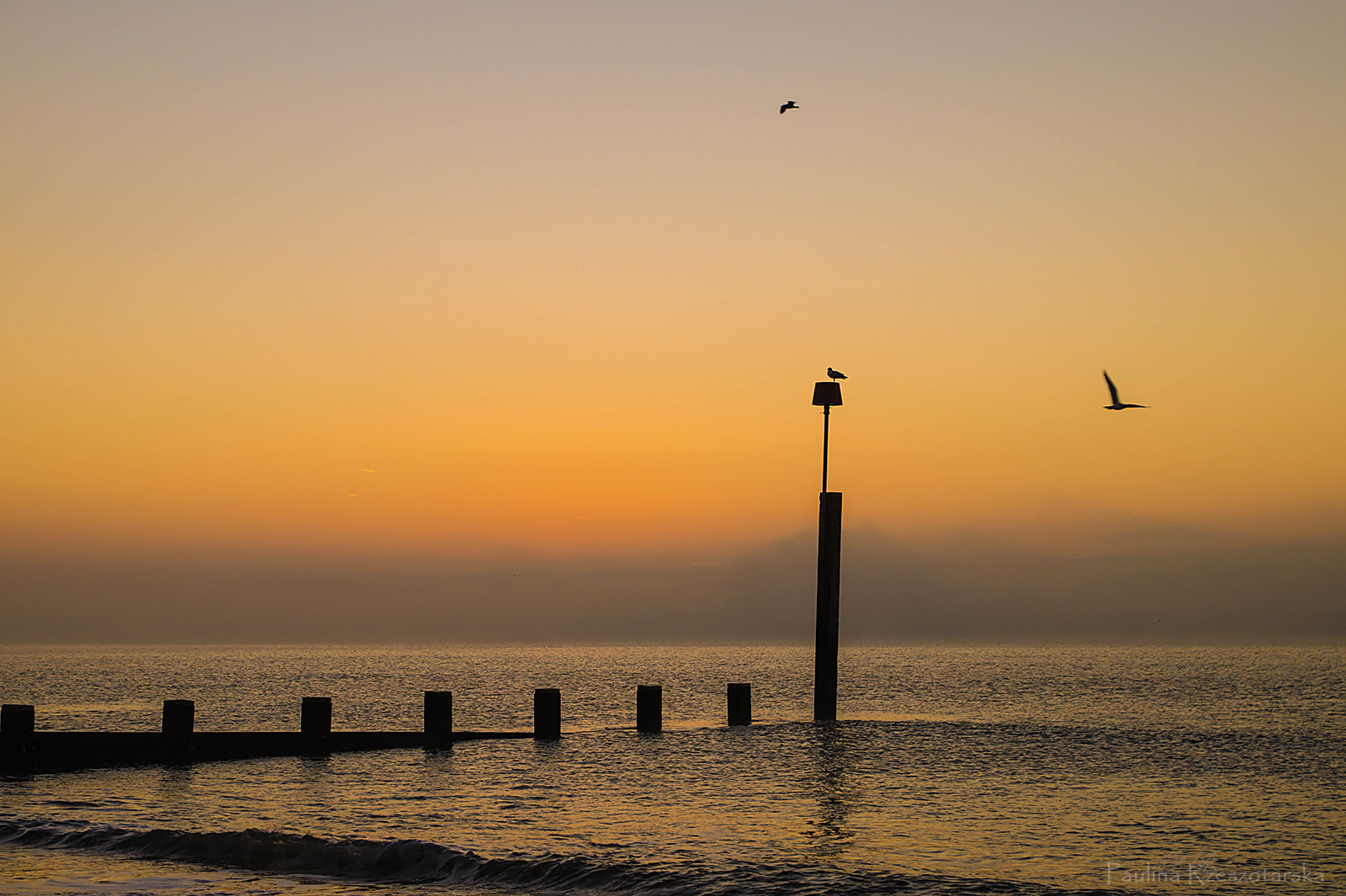 Sony SLT-A58 + Sony DT 16-50mm F2.8 SSM sample photo. Silhouette photography