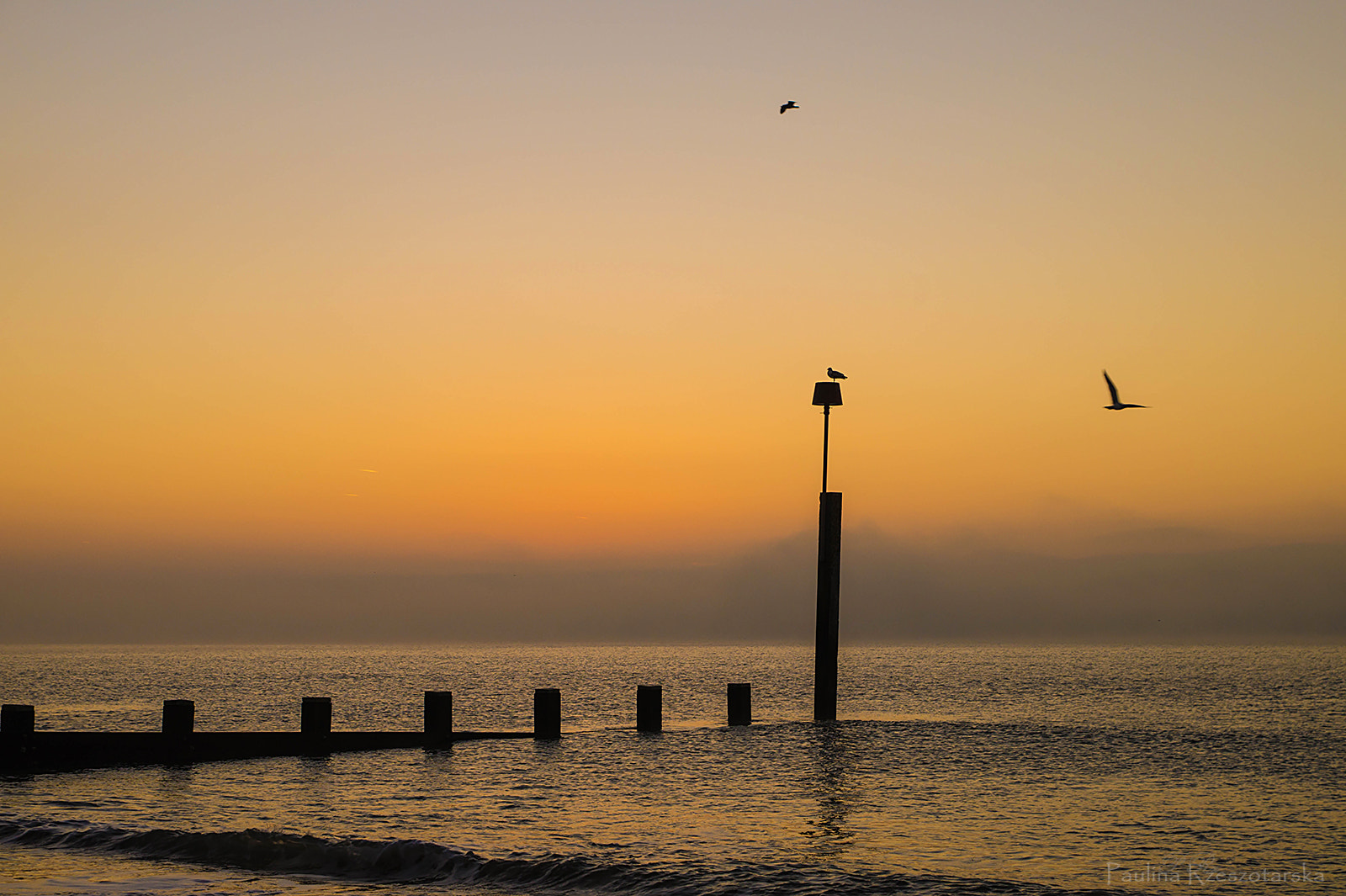 Sony SLT-A58 sample photo. Silhouette photography