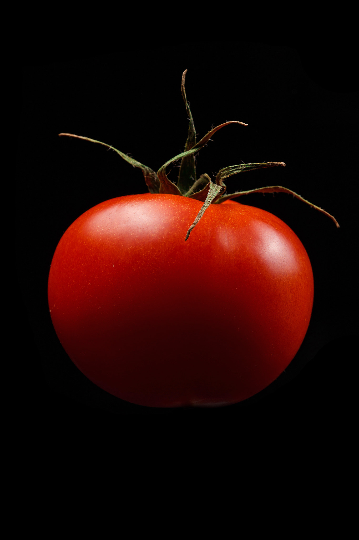 Sigma 105mm F2.8 EX DG OS HSM sample photo. Tomato photography
