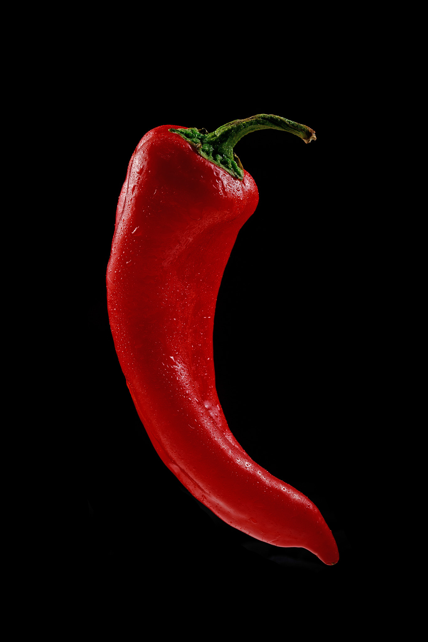 Sigma 105mm F2.8 EX DG OS HSM sample photo. Pepper photography