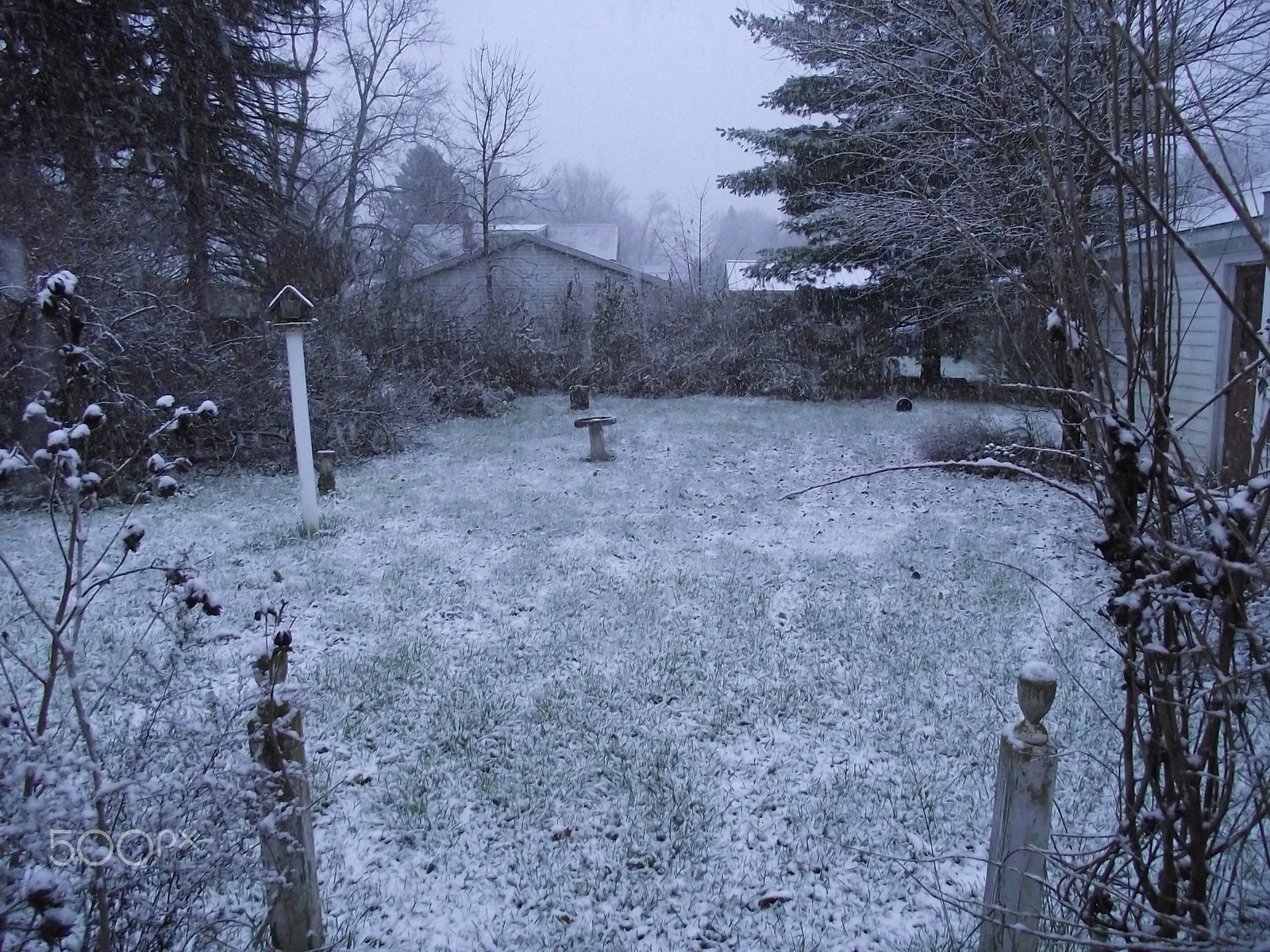 FujiFilm FinePix S1800 (FinePix S1880) sample photo. First winter snow photography