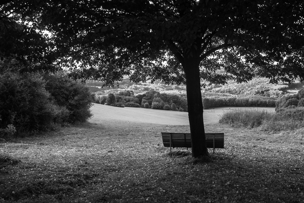 Tamron SP AF 17-50mm F2.8 XR Di II LD Aspherical (IF) sample photo. Resting place photography