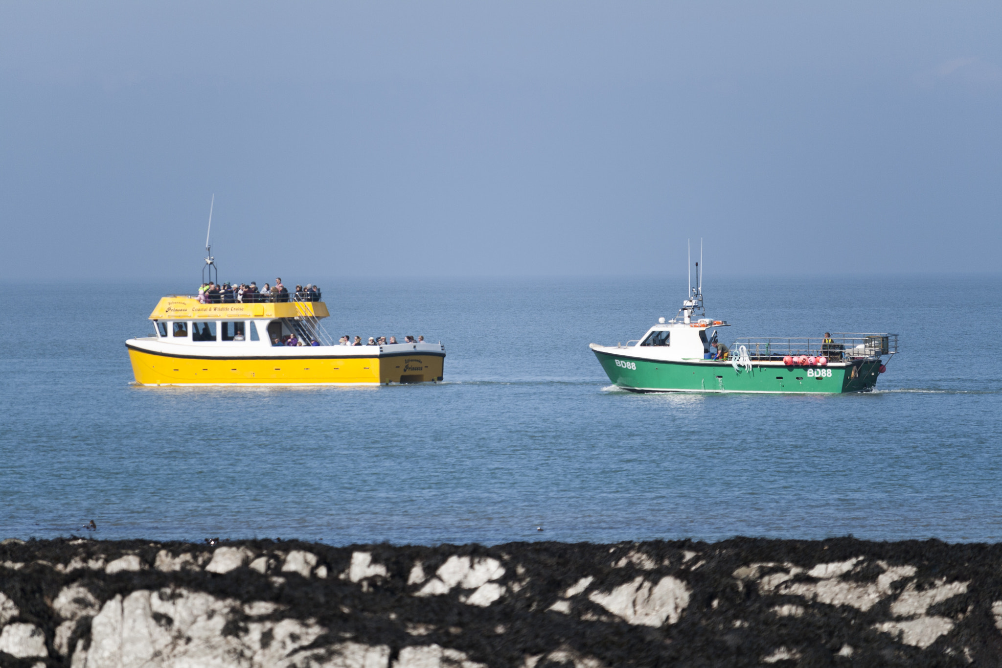 Canon EF-S 55-250mm F4-5.6 IS STM sample photo. Img photography
