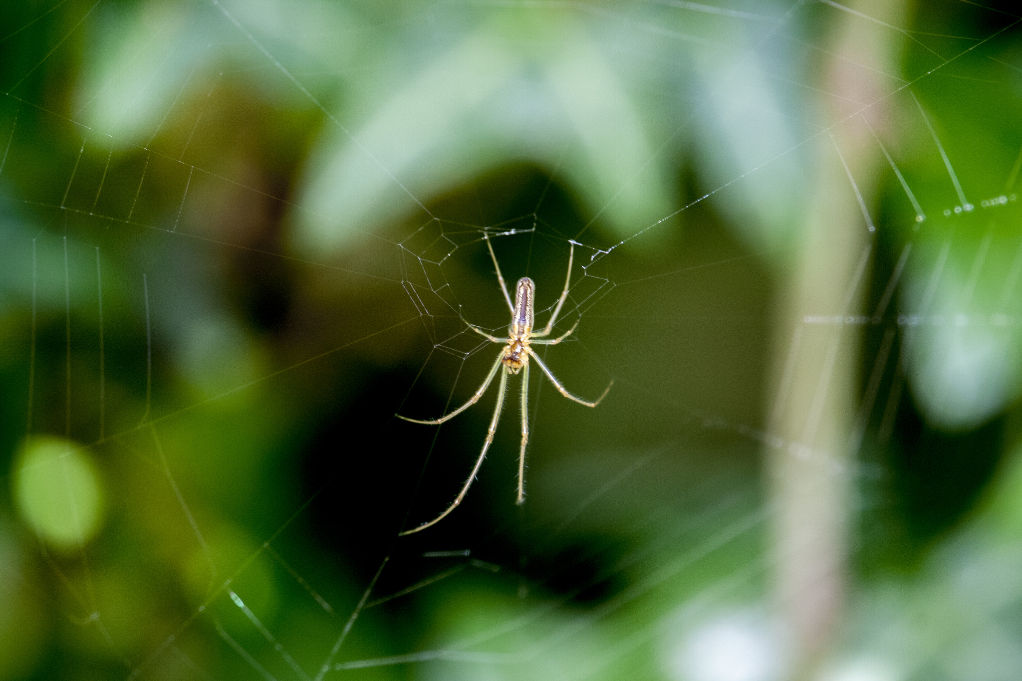 Canon EF-S 55-250mm F4-5.6 IS STM sample photo. Img photography