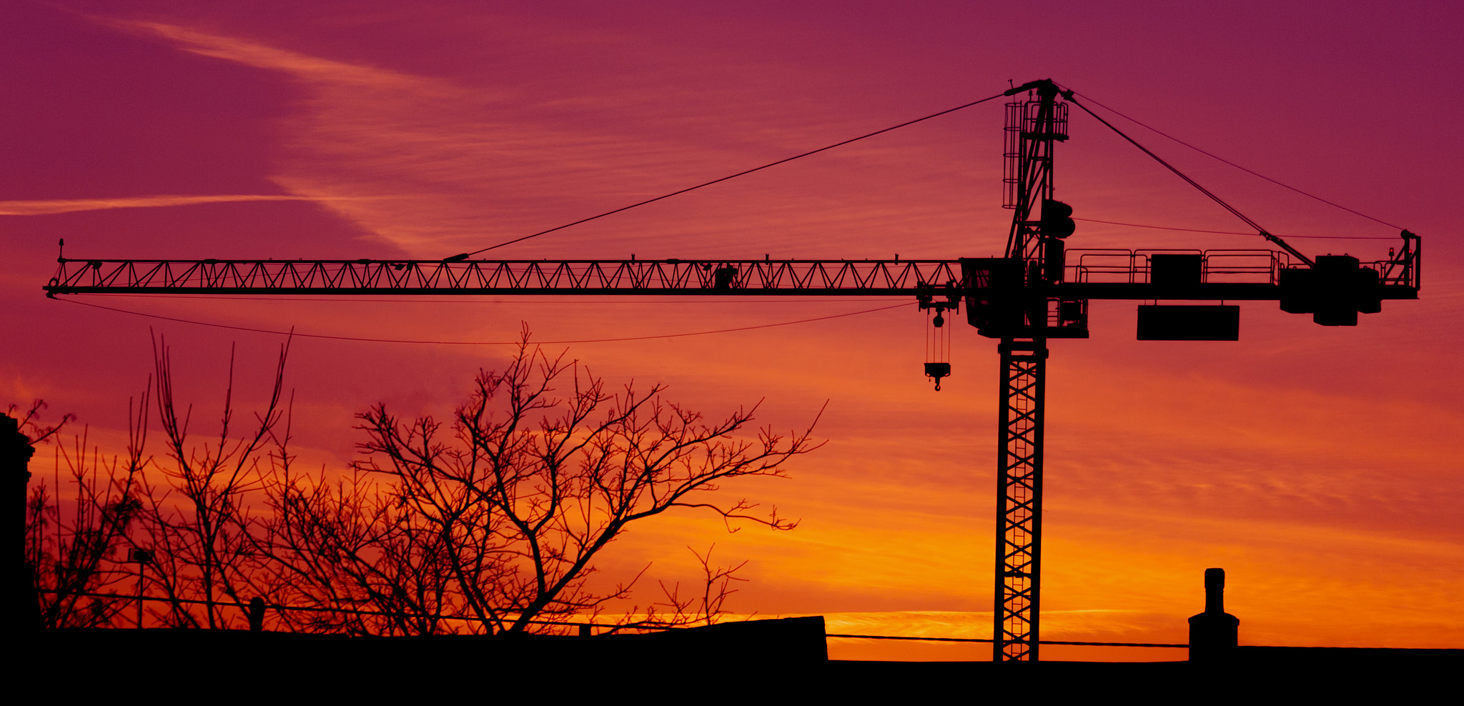 Canon EF-S 55-250mm F4-5.6 IS STM sample photo. Crane photography
