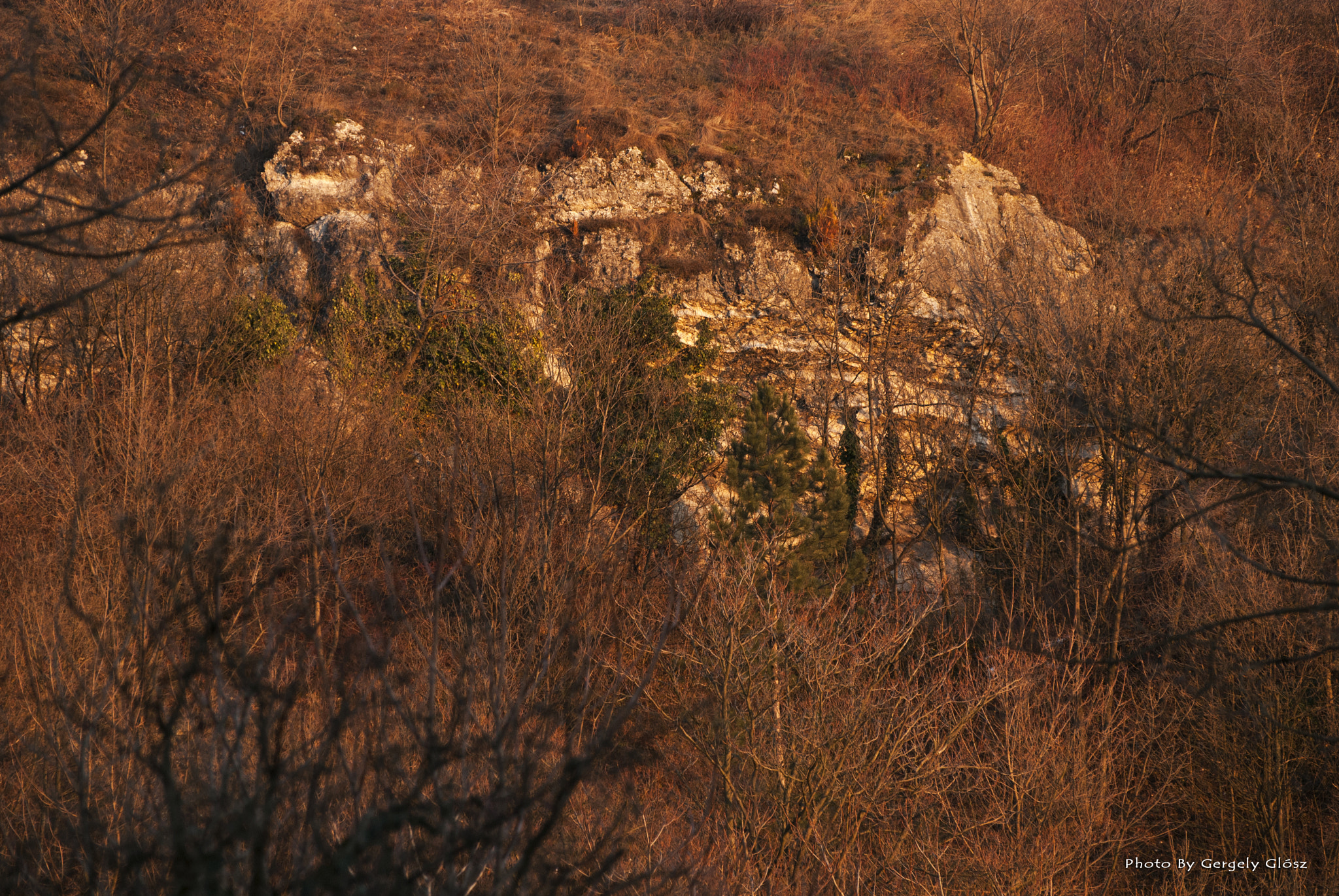 Nikon D80 sample photo. Pécs photography