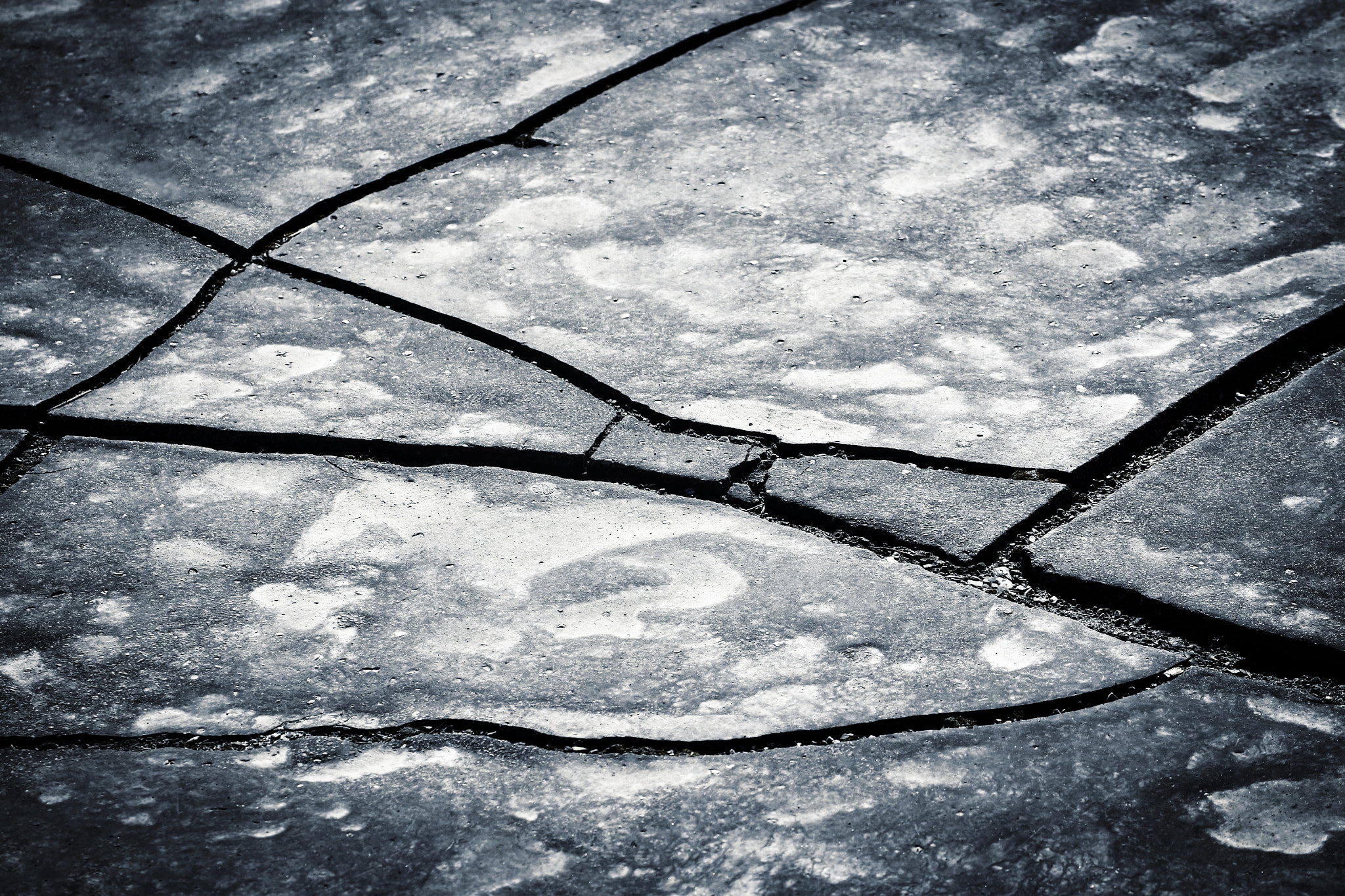 Nikon D5500 sample photo. Wide cracks on a dark asphalt photography