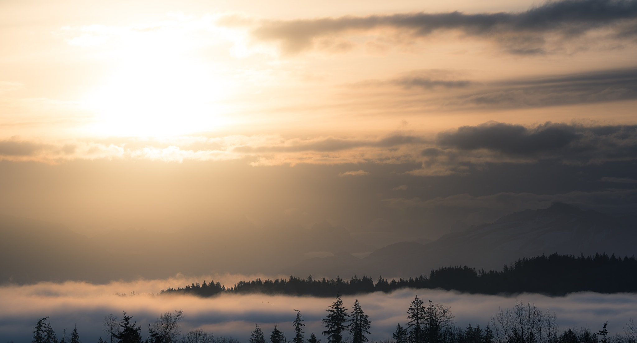 Nikon D810 sample photo. Sea of fog photography