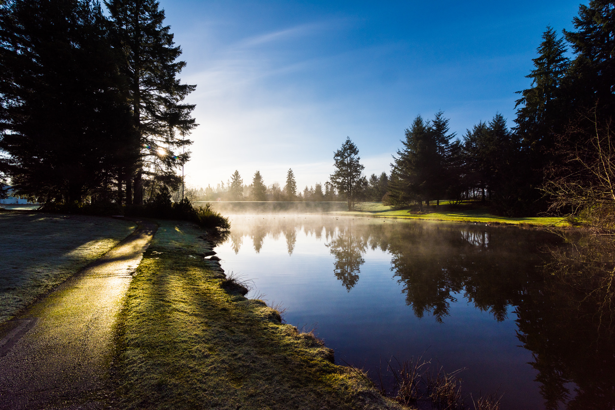 Nikon D810 sample photo. Morning pond photography