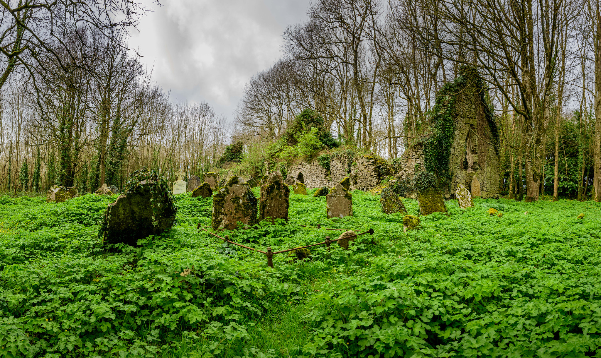 Tamron SP 15-30mm F2.8 Di VC USD sample photo. Dereliction photography
