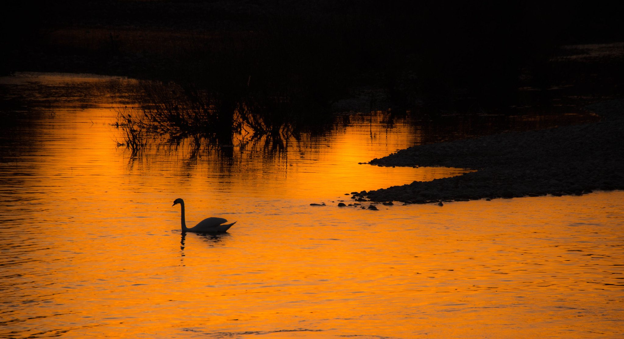 Nikon D7200 + Sigma 18-200mm F3.5-6.3 II DC OS HSM sample photo. The end photography