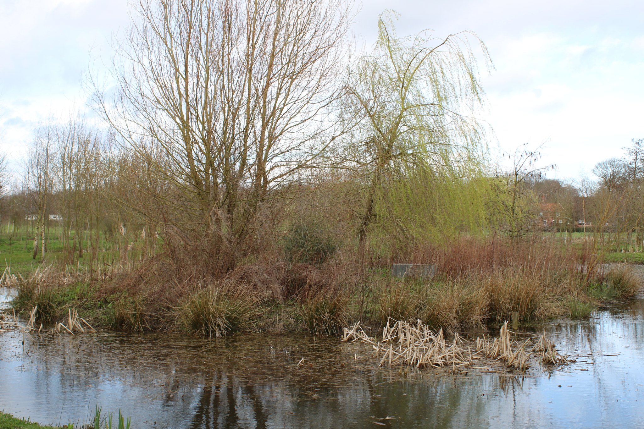 Canon EF 28-90mm f/4-5.6 USM sample photo. Early spring colours photography