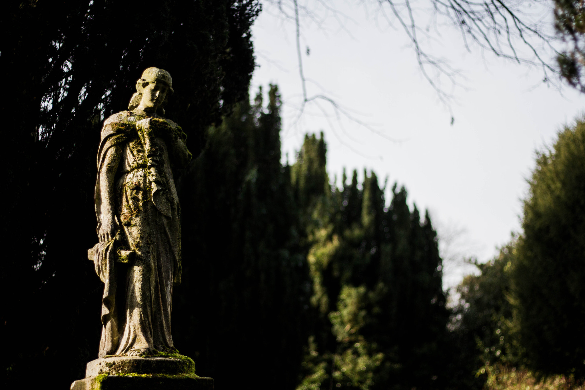 Canon EOS 7D + Canon EF 50mm F1.8 STM sample photo. Shine photography