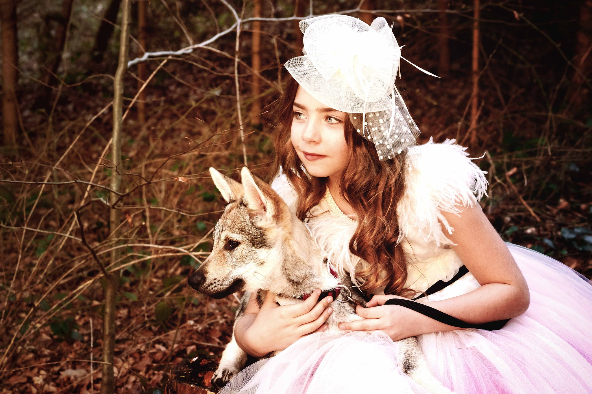 ZEISS Batis 85mm F1.8 sample photo. The girl with the young wolf photography