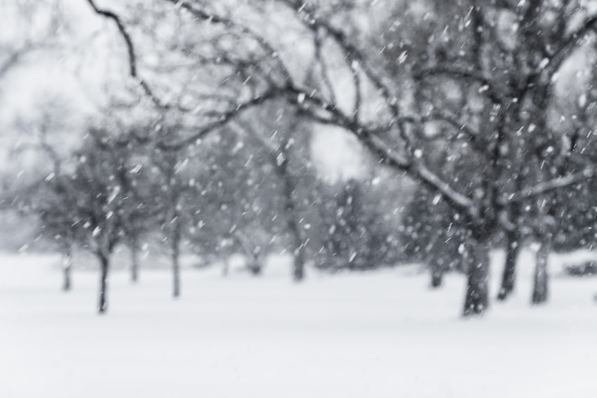 Pentax K-5 sample photo. Snowy day photography