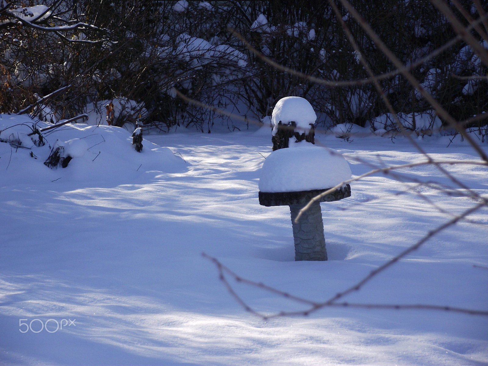 FujiFilm FinePix S1800 (FinePix S1880) sample photo. Birdbath in the winter snow. photography