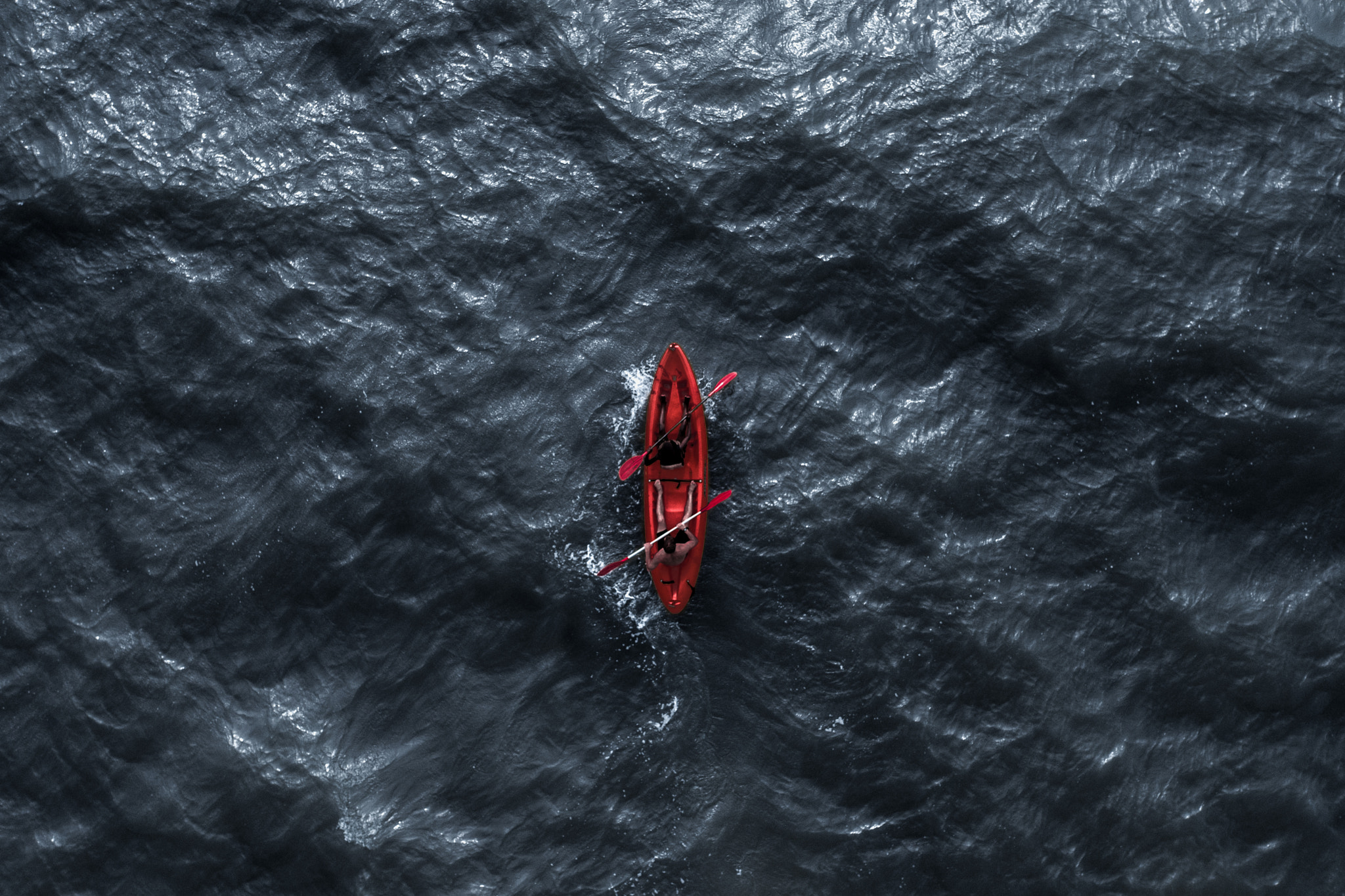 DJI FC550 sample photo. Silver photography