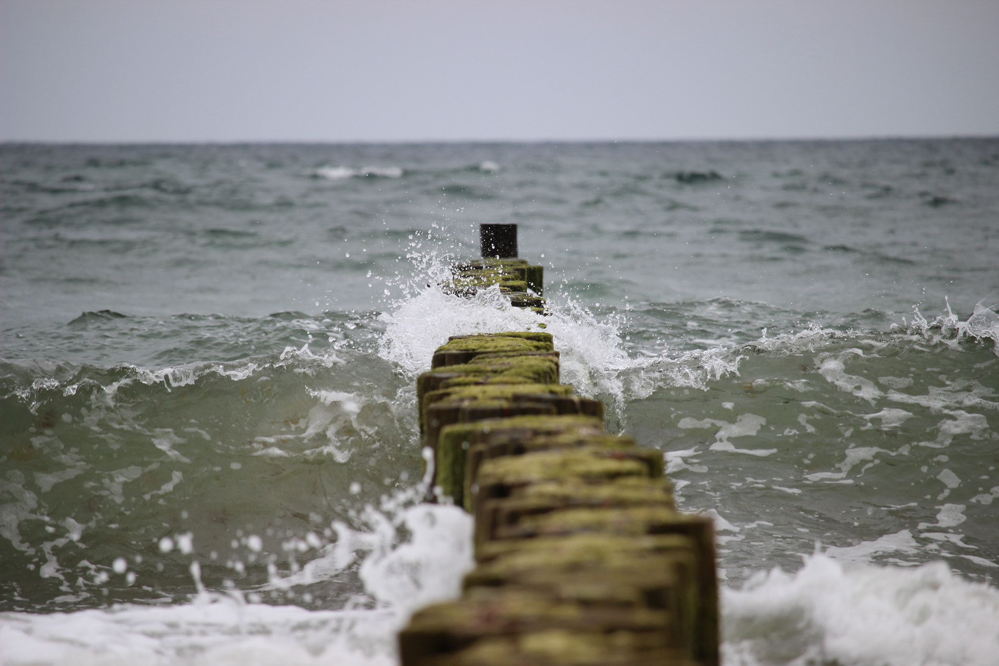 Canon EF-S 55-250mm F4-5.6 IS STM sample photo. Wave 2 photography