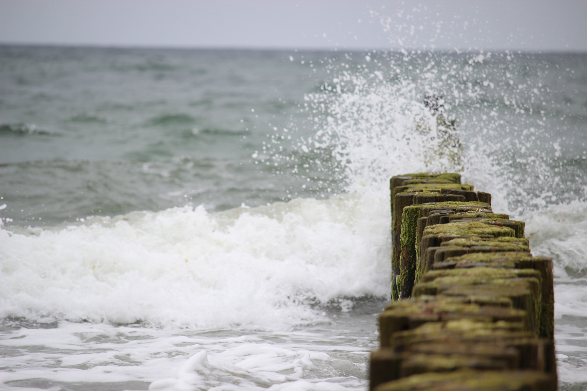 Canon EF-S 55-250mm F4-5.6 IS STM sample photo. Wave 1 photography