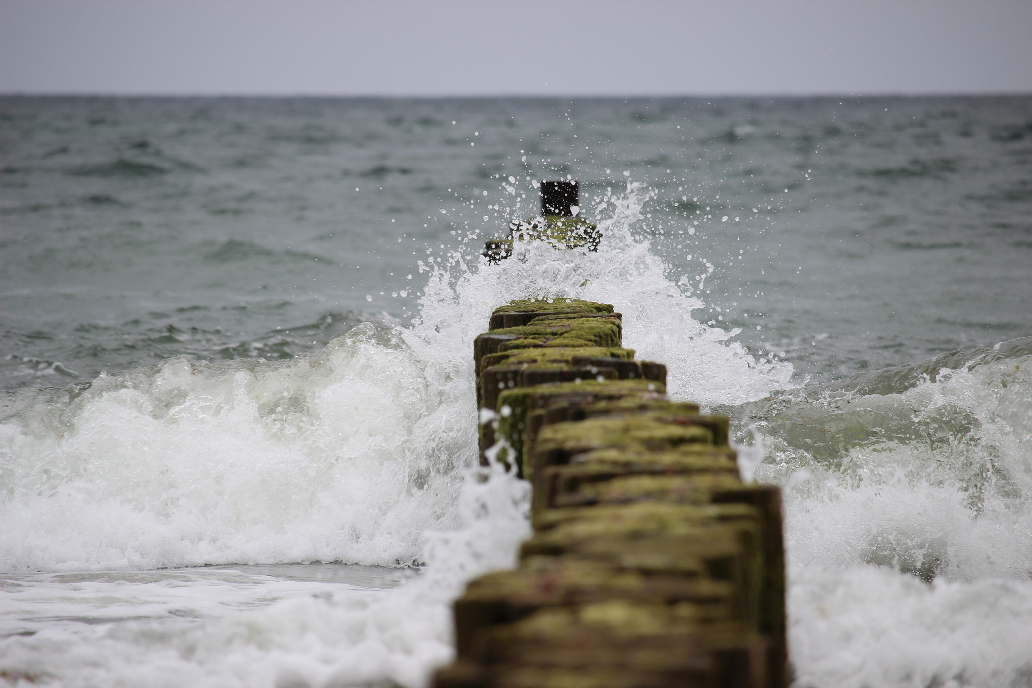Canon EF-S 55-250mm F4-5.6 IS STM sample photo. Wave 3 photography