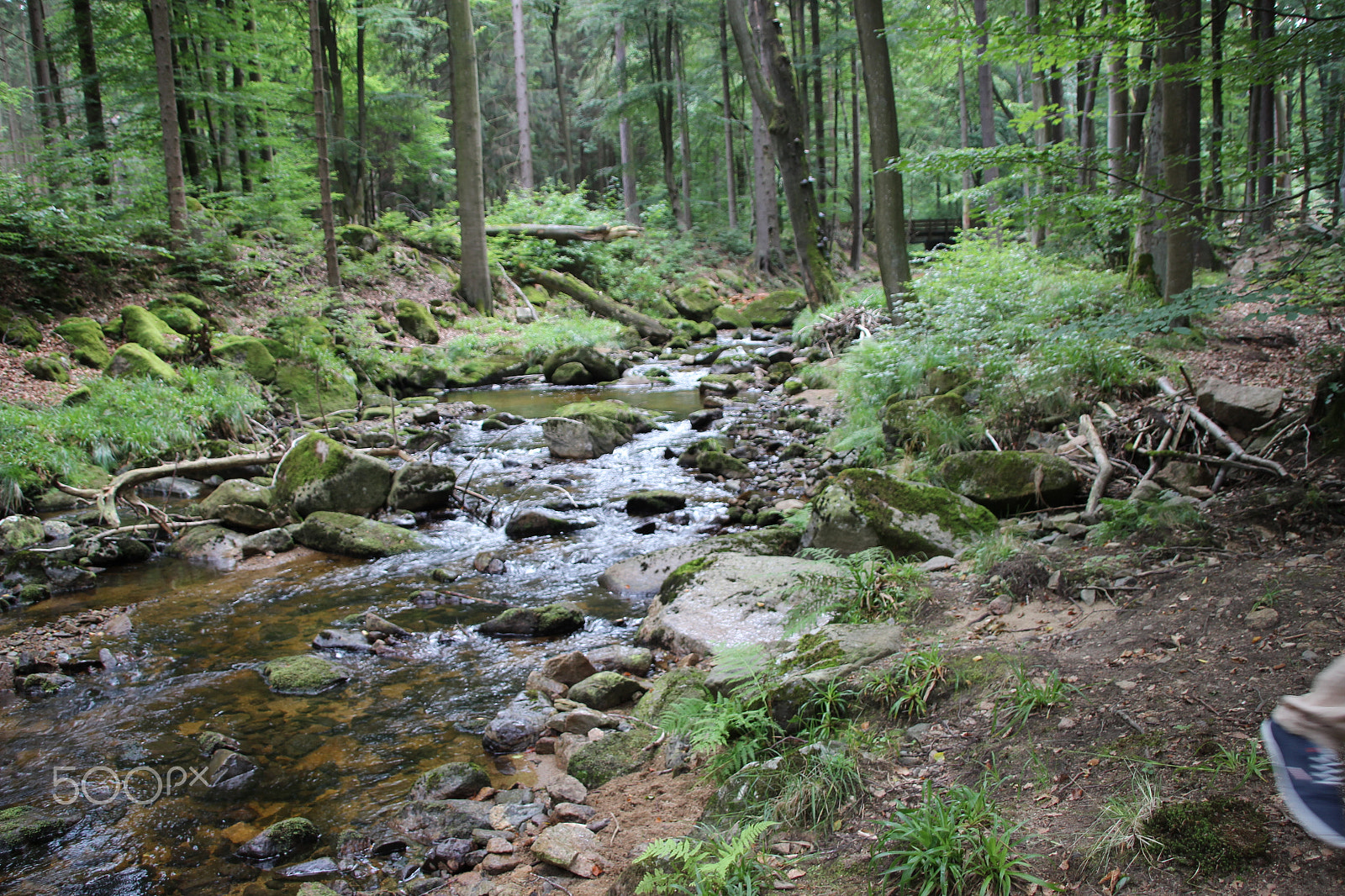 Canon EOS 600D (Rebel EOS T3i / EOS Kiss X5) + Canon TS-E 90mm F2.8 Tilt-Shift sample photo. Little river photography