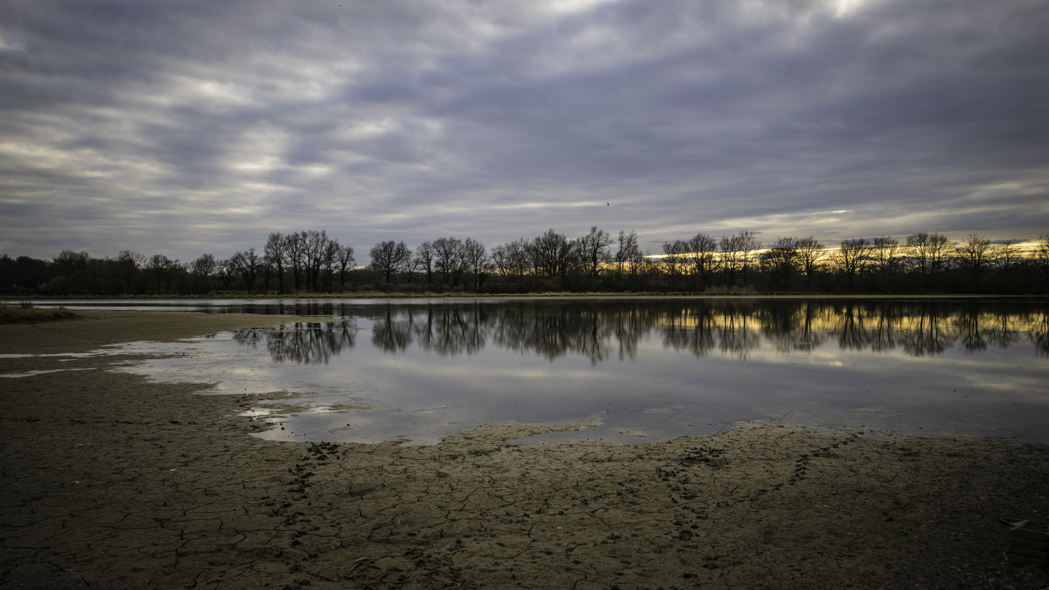 Pentax K-1 + HD PENTAX-D FA 15-30mm F2.8 ED SDM WR sample photo. Lac des dombes - sandrans photography