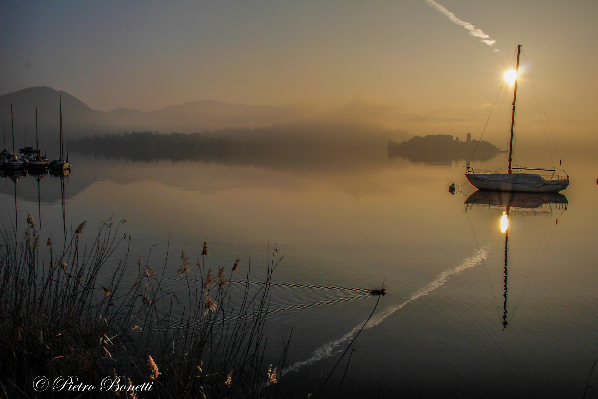 Canon EOS 60D sample photo. Fiaba photography