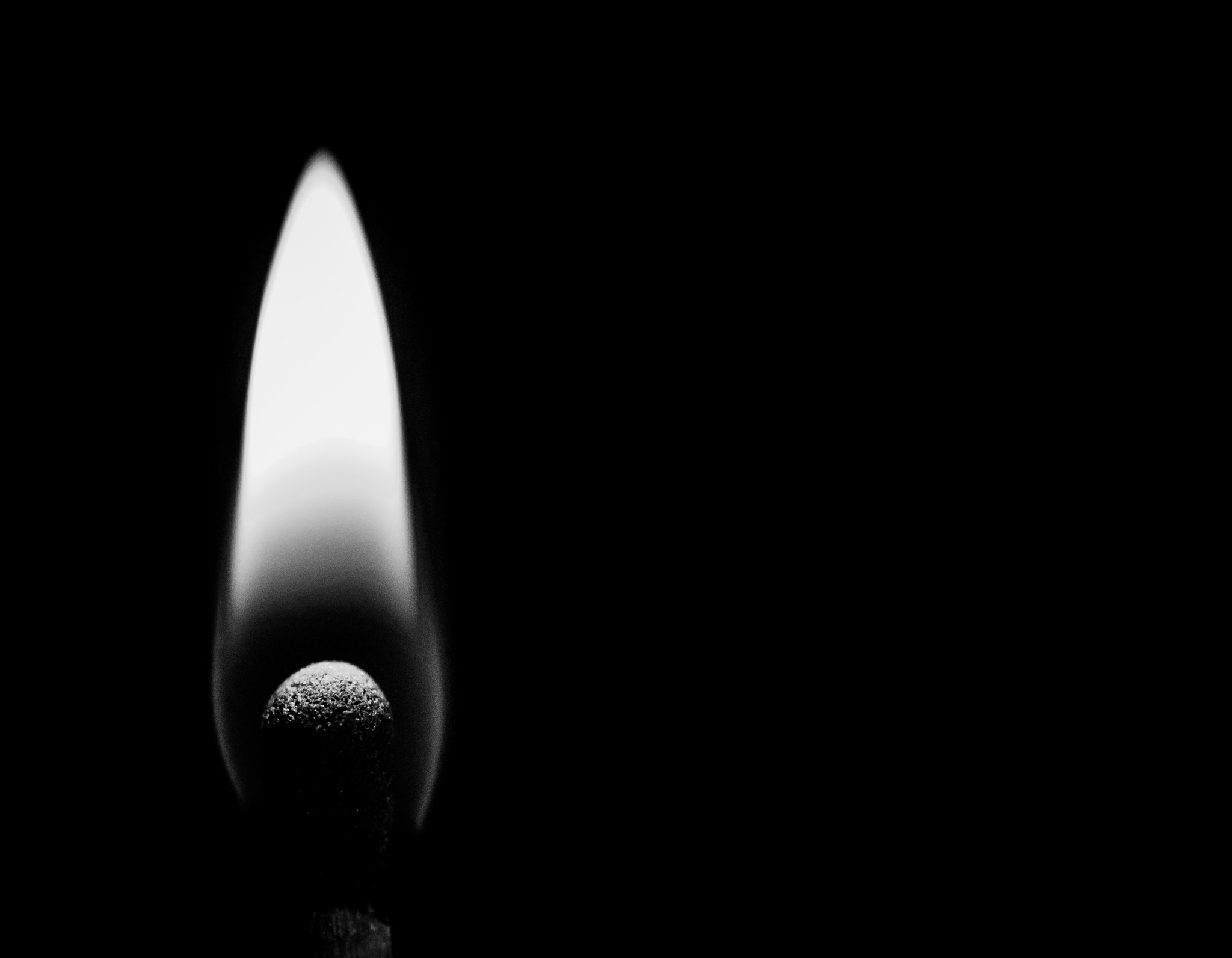 Sigma 105mm F2.8 EX DG OS HSM sample photo. Alight photography