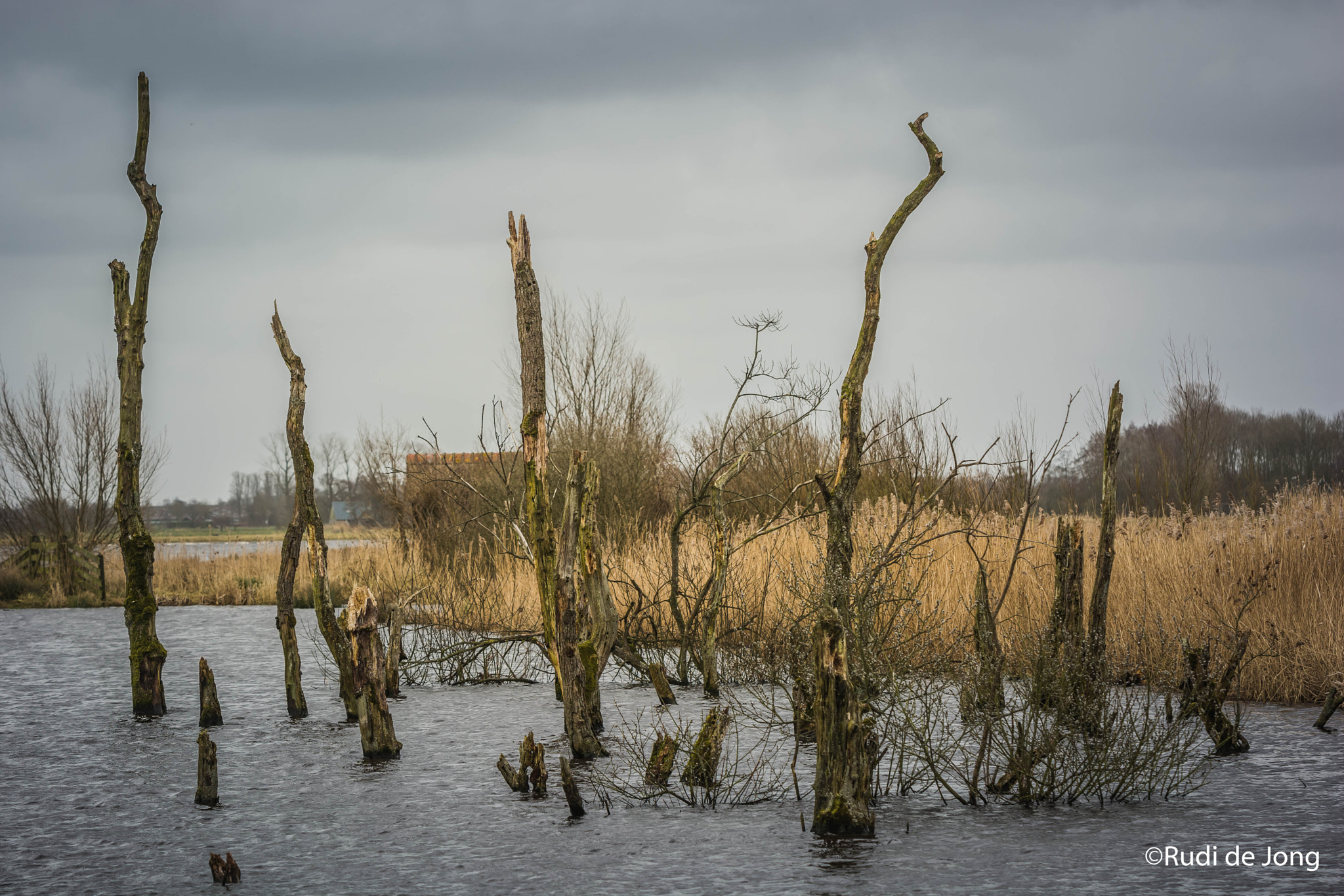 AF-S Zoom-Nikkor 80-200mm f/2.8D IF-ED sample photo. Jan durkspolder photography