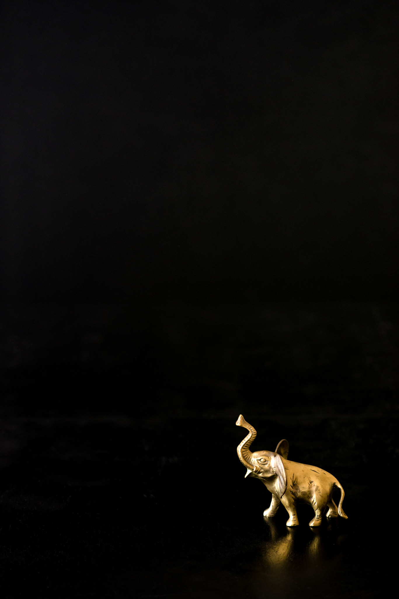 Nikon AF Nikkor 85mm F1.8D sample photo. Dream big photography
