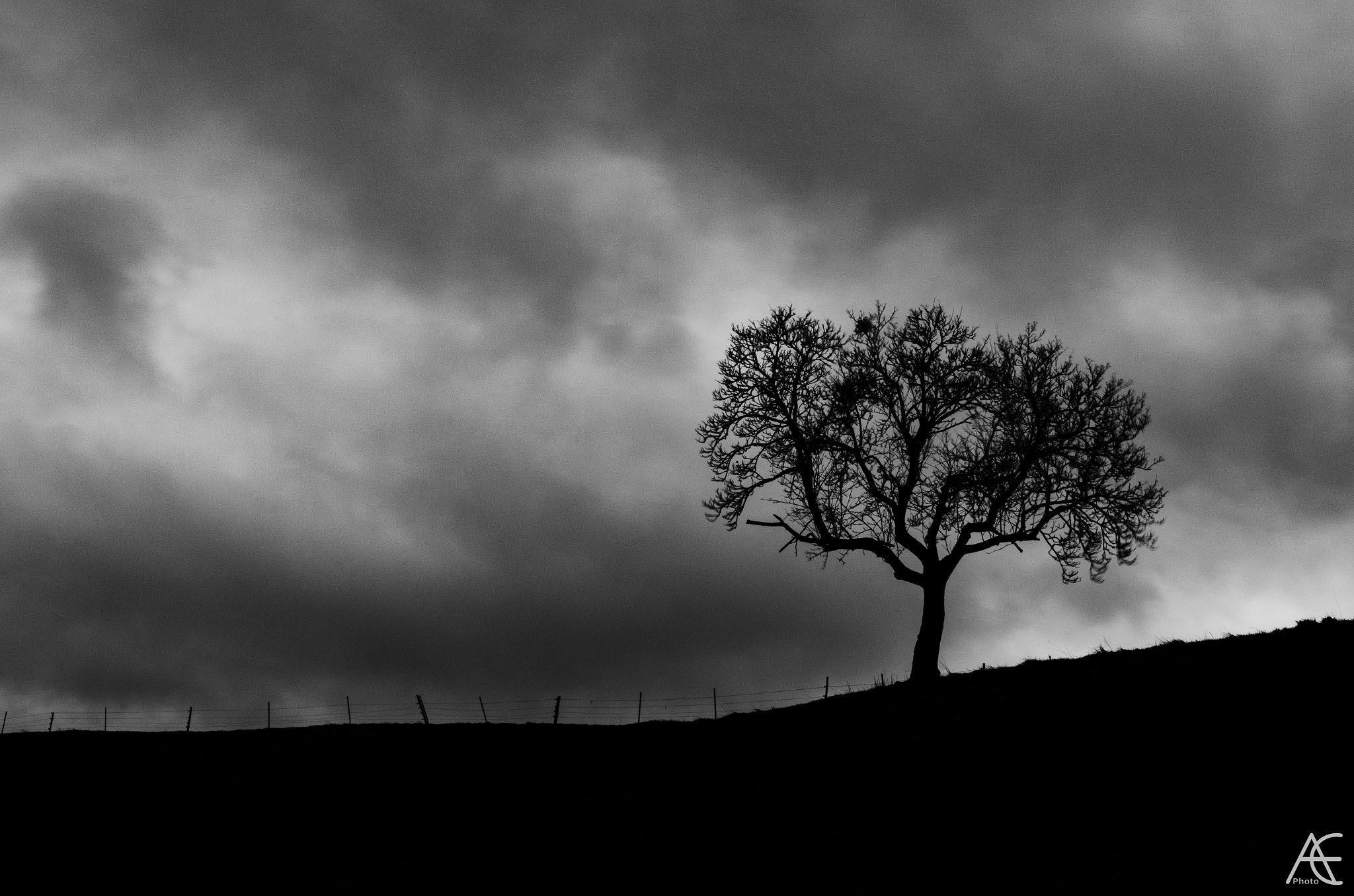 Sigma 17-50mm F2.8 EX DC OS HSM sample photo. Couds and trees - study 6 photography