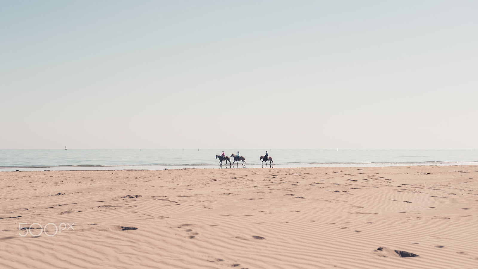 Fujifilm X-Pro2 sample photo. Horses strolling on the beach photography