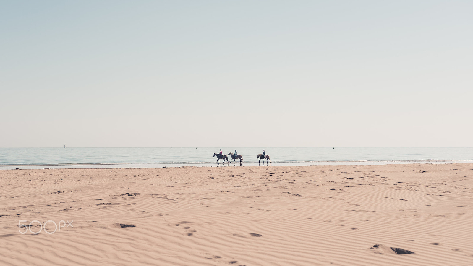 Fujifilm X-Pro2 + Fujifilm XF 35mm F2 R WR sample photo. Horses strolling on the beach photography