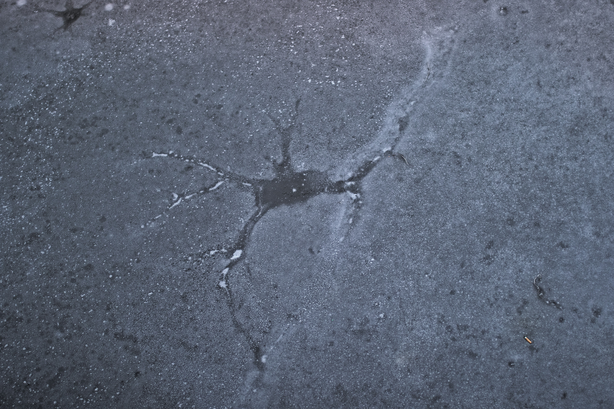 Canon EOS 7D Mark II sample photo. Icy neuron photography