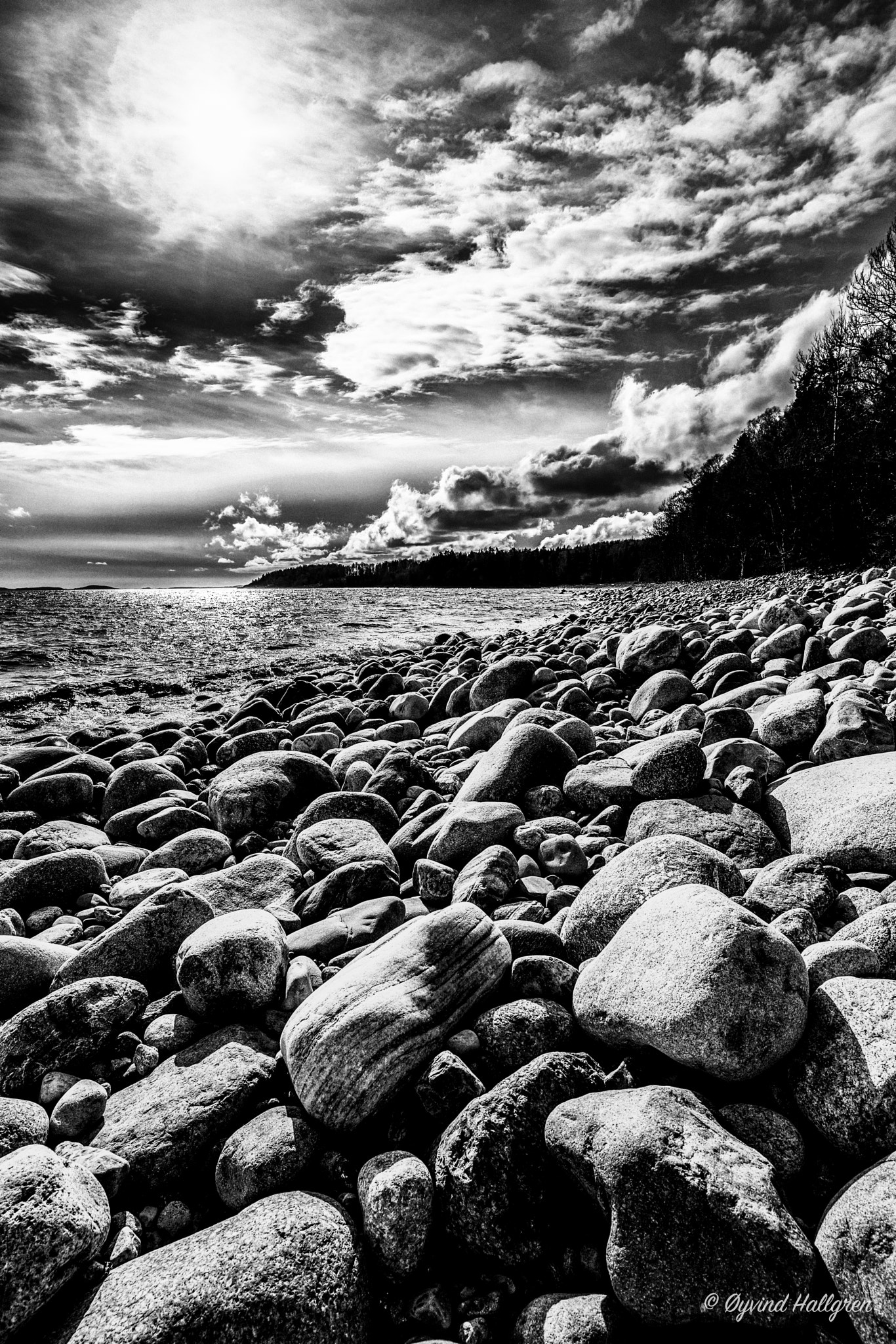 Canon EF 16-35mm F2.8L III USM sample photo. Essostranda b&w photography