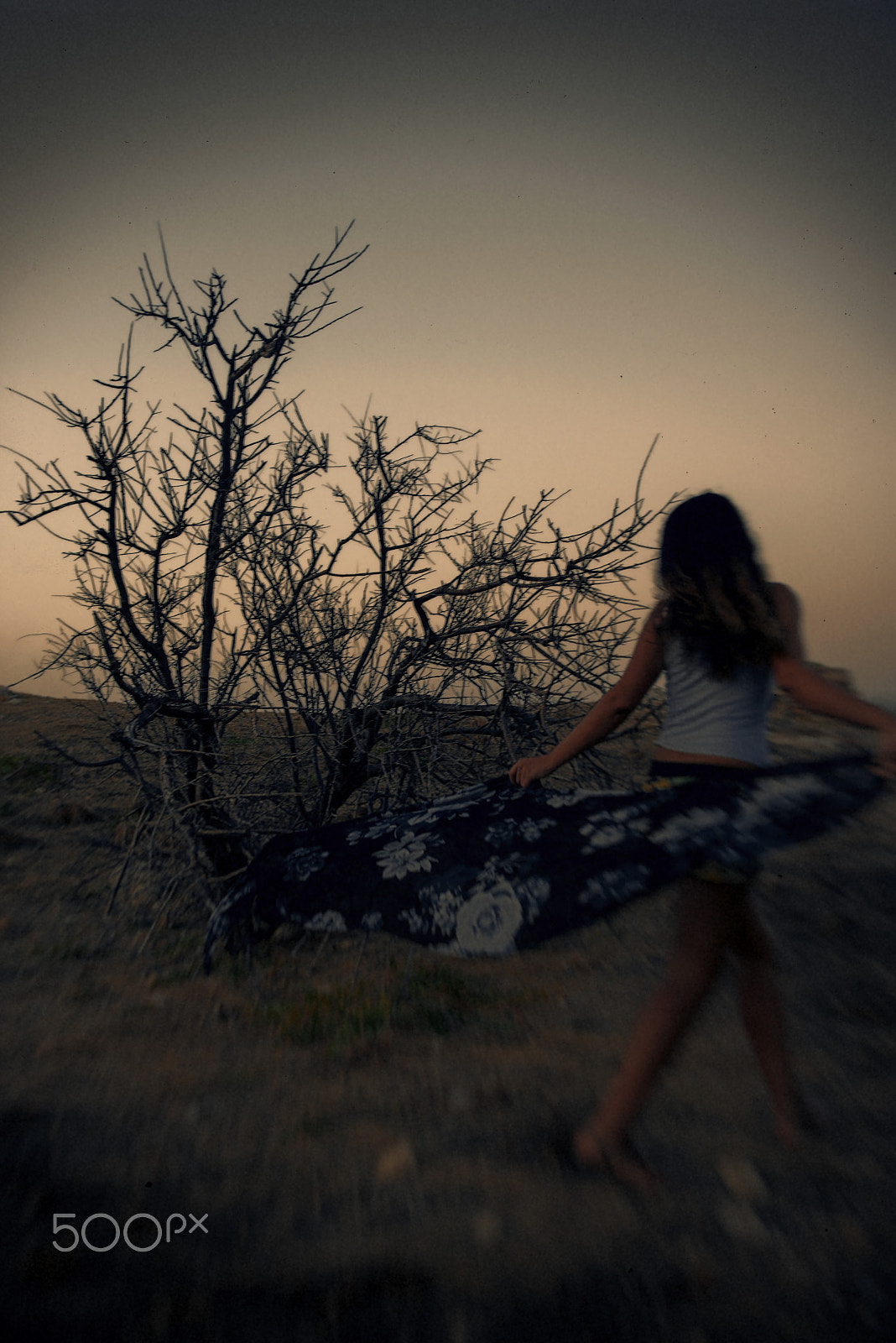 Nikon D610 sample photo. Woman in a dress dancing alone at the sunset. photography