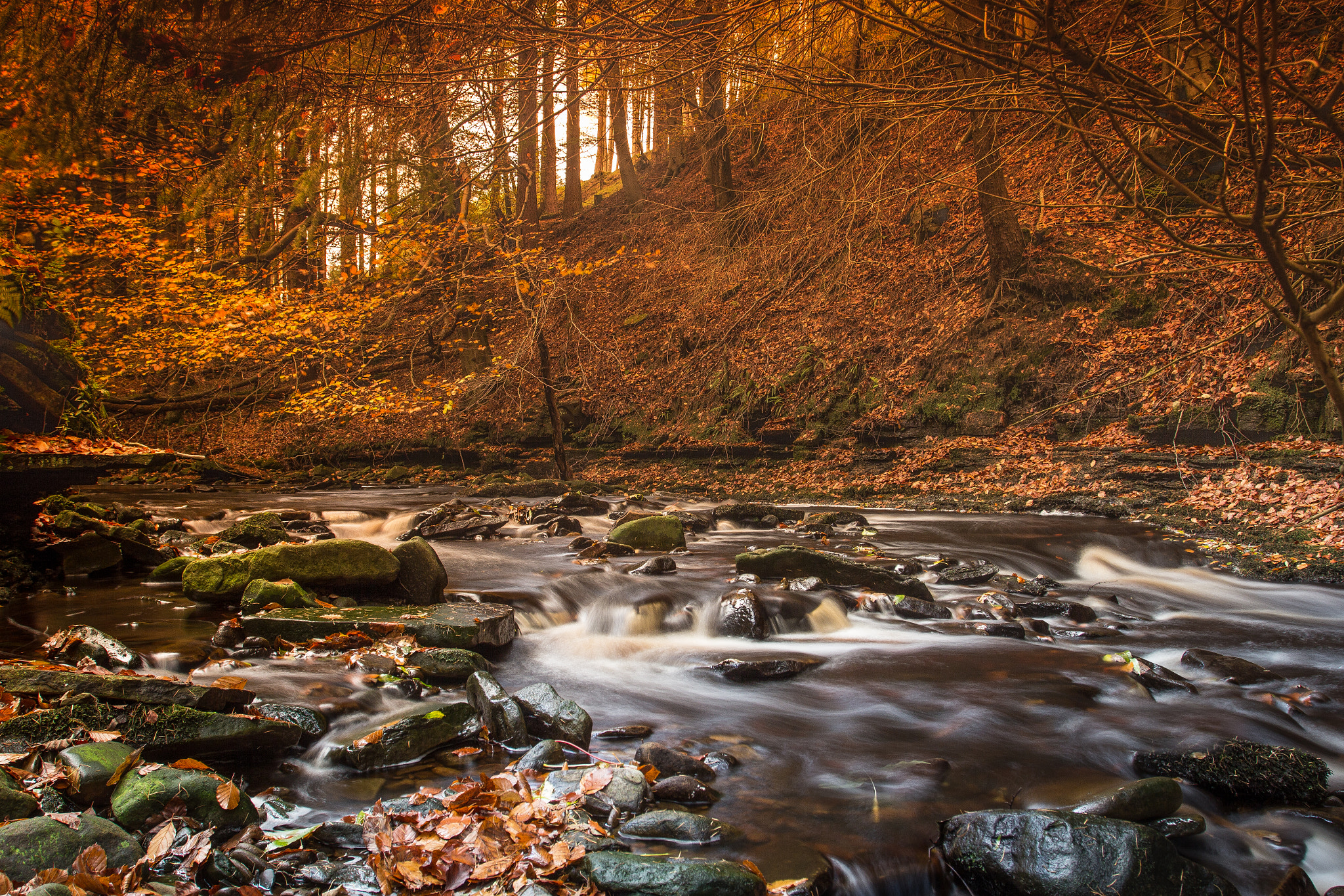 Canon EOS 60D + Canon EF 17-40mm F4L USM sample photo. Ladybower autumn photography