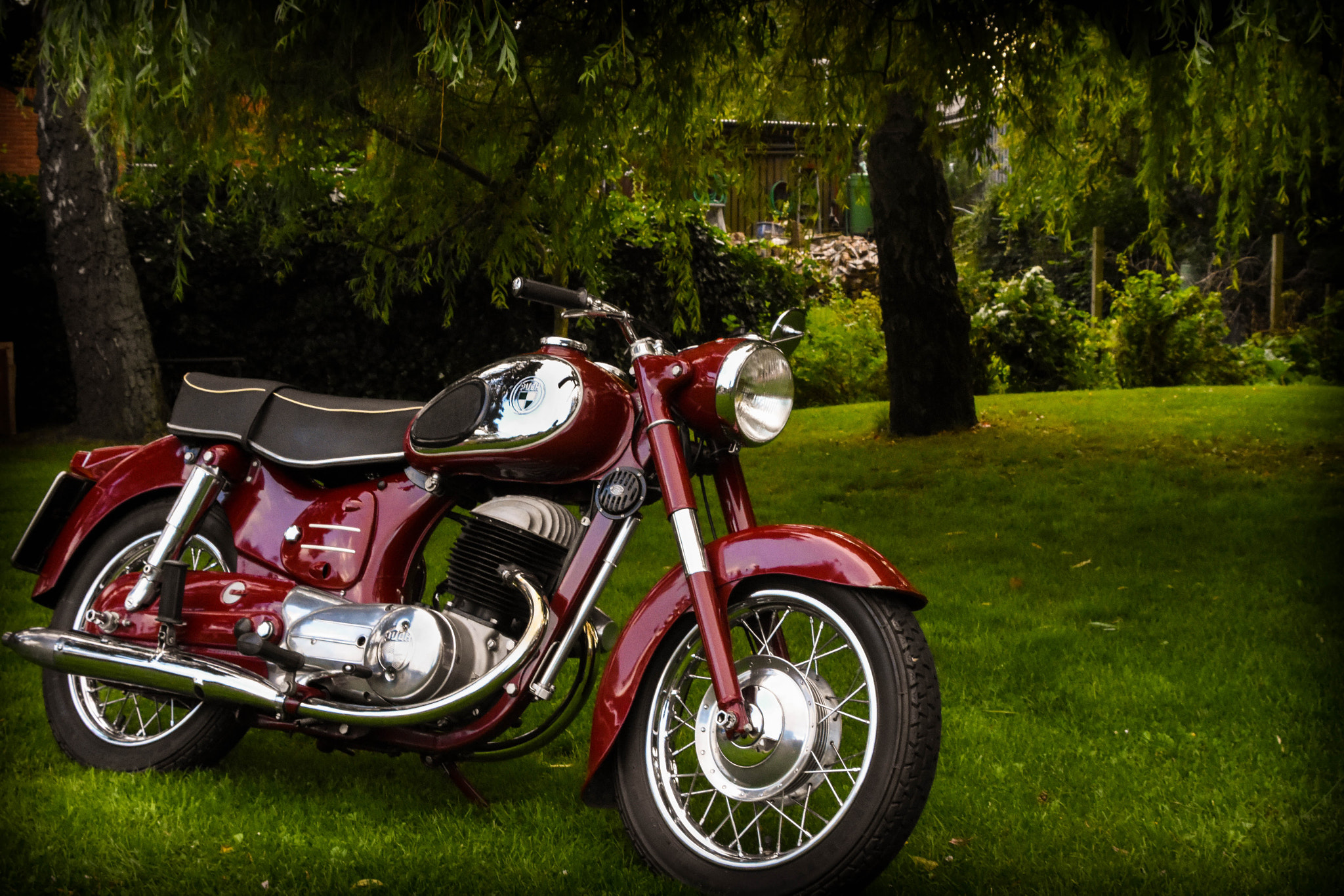 Nikon D7200 sample photo. Riding on the back of history photography