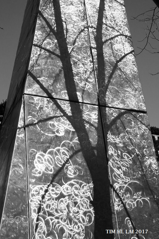 Sony SLT-A77 + Sony DT 16-50mm F2.8 SSM sample photo. Tree photography