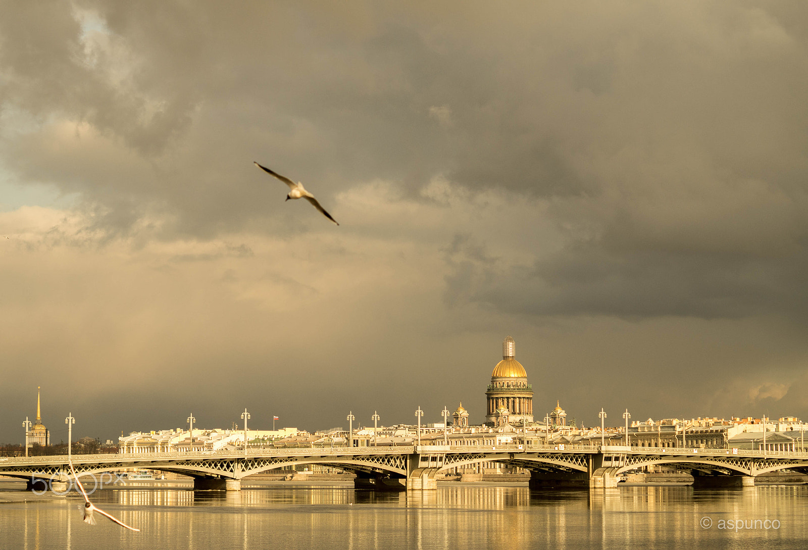 Sony SLT-A58 + Sony DT 50mm F1.8 SAM sample photo. Saint-petersburg photography