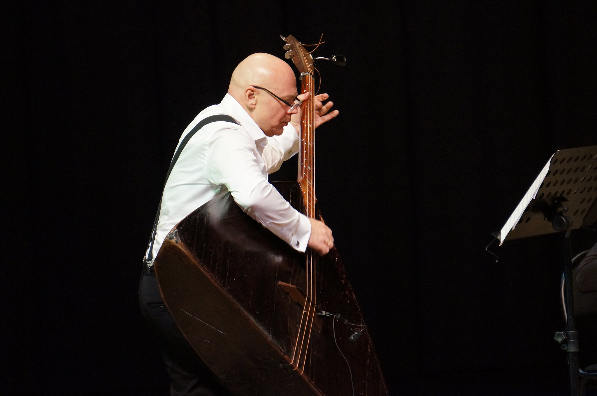 Sony Alpha NEX-5N sample photo. Contrabassist photography