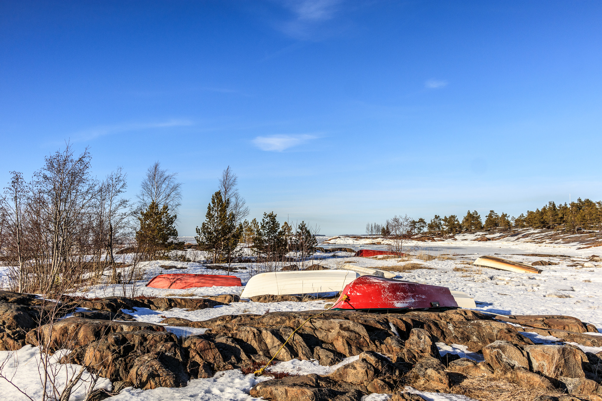 Canon EF-M 22mm F2 STM sample photo. Waiting for spring. photography