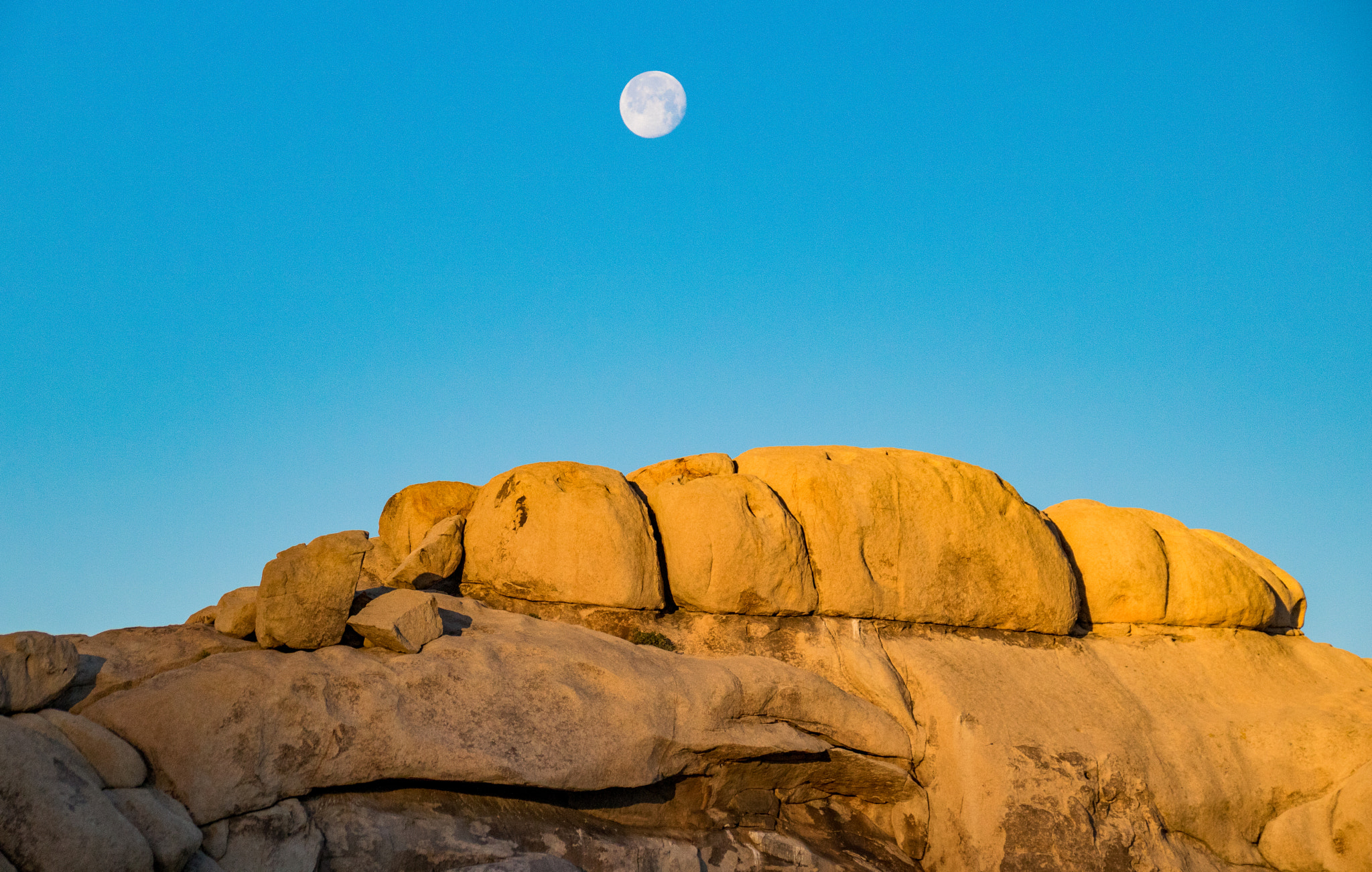 Canon EF 75-300mm F4.0-5.6 IS USM sample photo. Joshua tree moonset photography