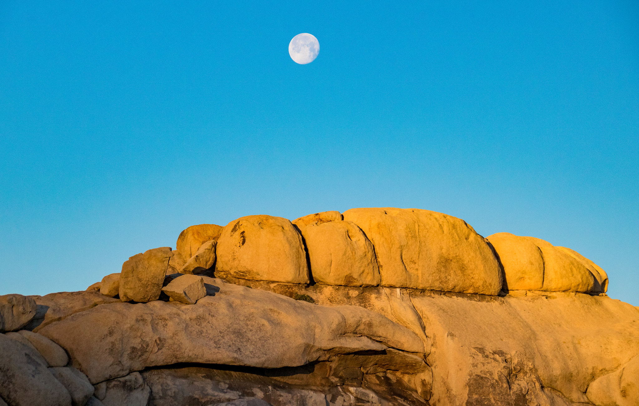 Canon EOS 750D (EOS Rebel T6i / EOS Kiss X8i) sample photo. Joshua tree moonset photography