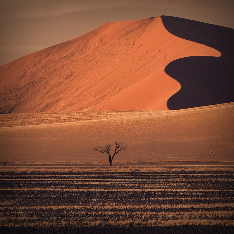 Canon EF 70-200mm F2.8L IS USM sample photo. Namib desert photography