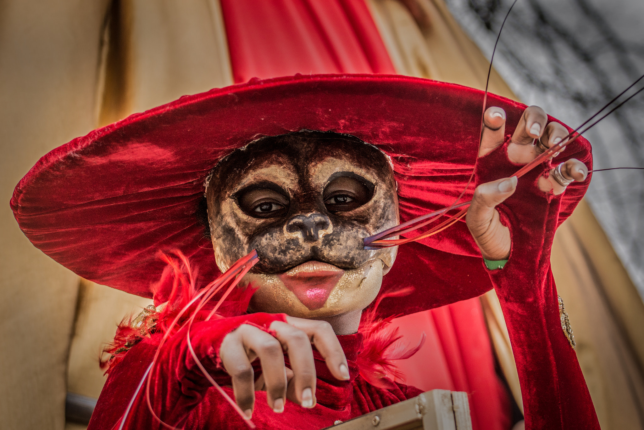 Nikon D7200 sample photo. St patricks day parade dublin photography